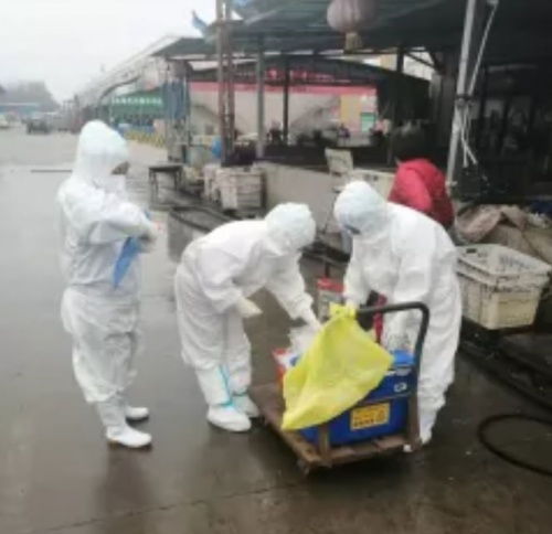 開封宏進農(nóng)副產(chǎn)品國際物流中心 穩(wěn)市場 促民生 保供應