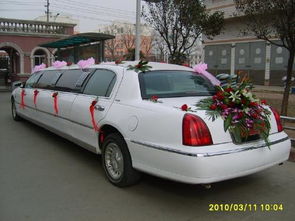 東鵬泰潤(rùn)汽車(chē)租賃