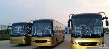 哈爾濱天之運租車公司 道里新陽路易登網(wǎng)汽車租賃服務(wù)介紹